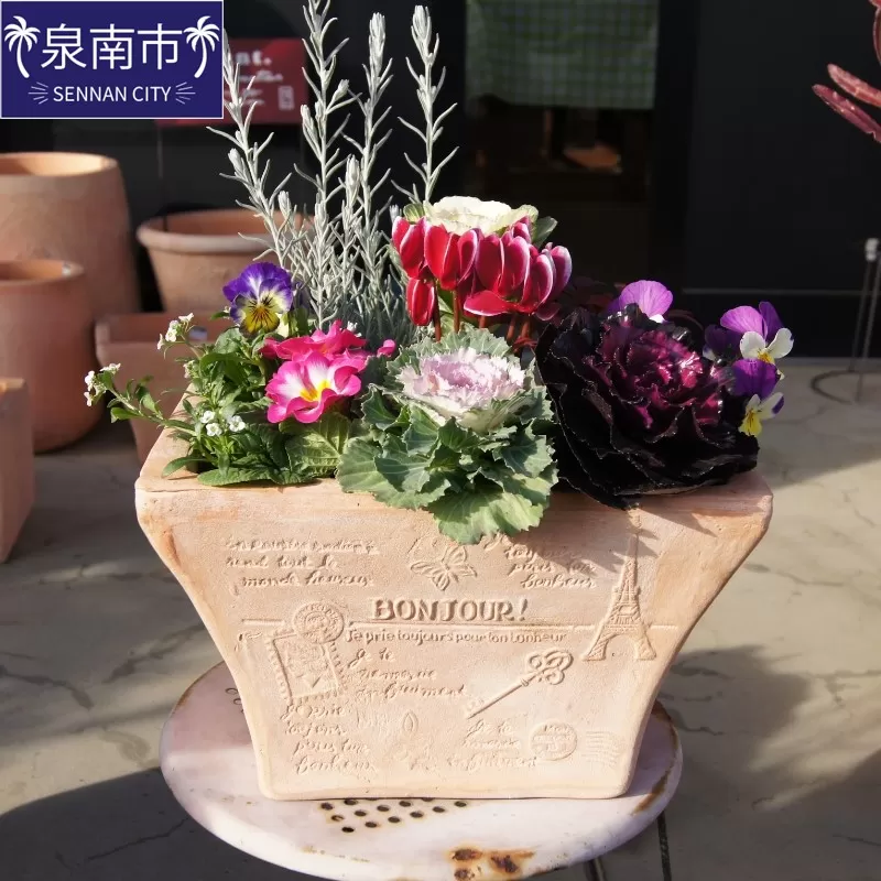 季節の花の寄せ植え 35cm ピック付き【005C-007】