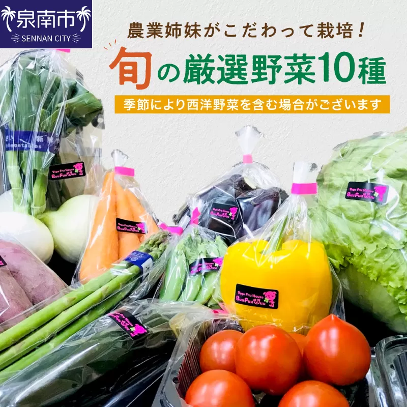 農業姉妹がこだわって栽培！旬の厳選野菜10種【024D-012】
