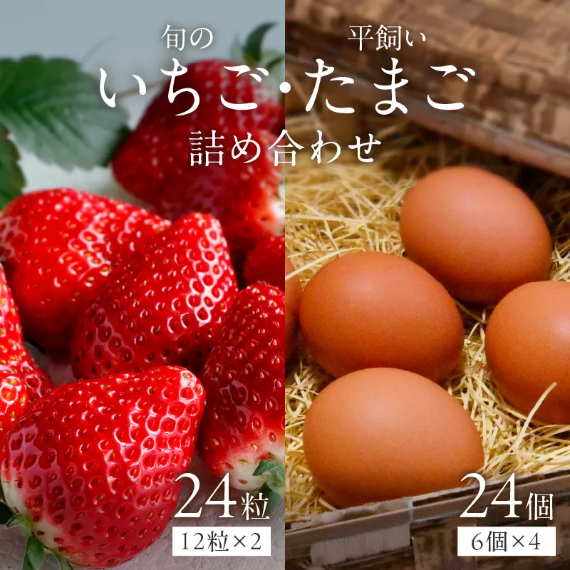 【2026年12月下旬～2027年5月発送予定】泉南市産 旬のいちごと平飼いたまごの詰め合わせ【015D-026-2027】