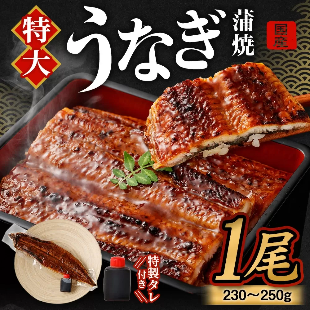 国産 うなぎ 蒲焼 1尾 （230g ～ 250g） と 特製タレ 1個 セット 鰻 ウナギ 蒲焼き うなぎ蒲焼 セイロ蒸し せいろ蒸し タレ付 冷凍