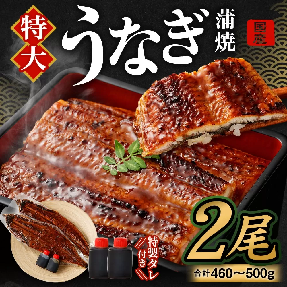 国産 うなぎ 蒲焼 2尾 （460g ～ 500g）と 特製タレ 2個 セット 鰻 ウナギ 蒲焼き うなぎ蒲焼 セイロ蒸し せいろ蒸し タレ付 冷凍