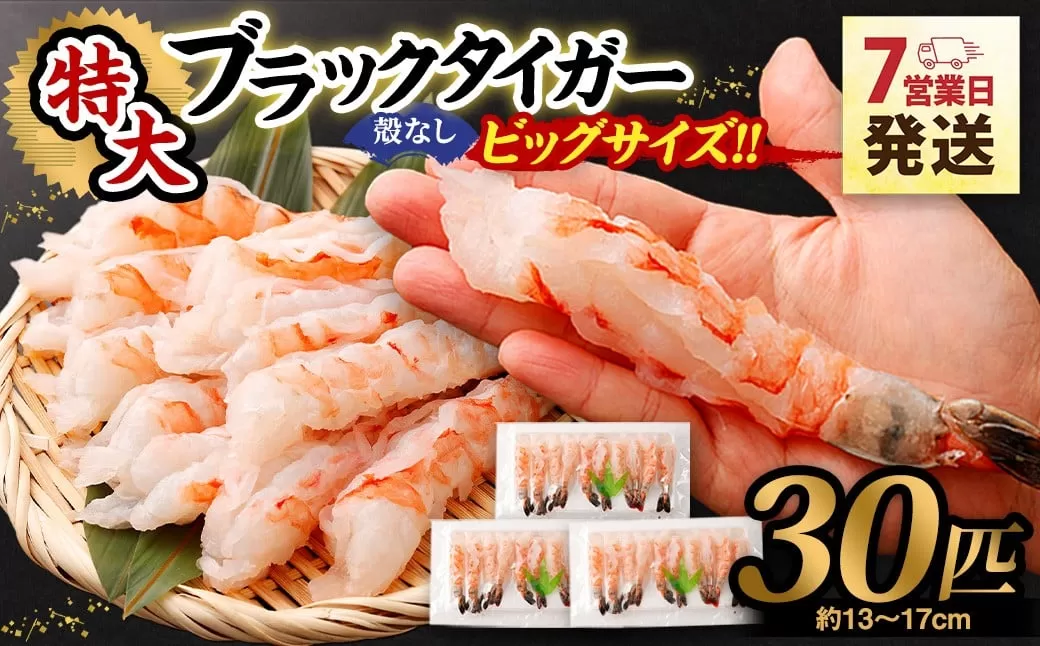 特大 ブラックタイガー 殻なし ビッグサイズ （30匹） 【入金確認後7営業日以内に発送】 剥き海老 剥きえび むき海老 むきえび むきエビ むき身 海鮮 海産物 魚介類 甲殻類 海の幸 疲労回復 大阪府 阪南市