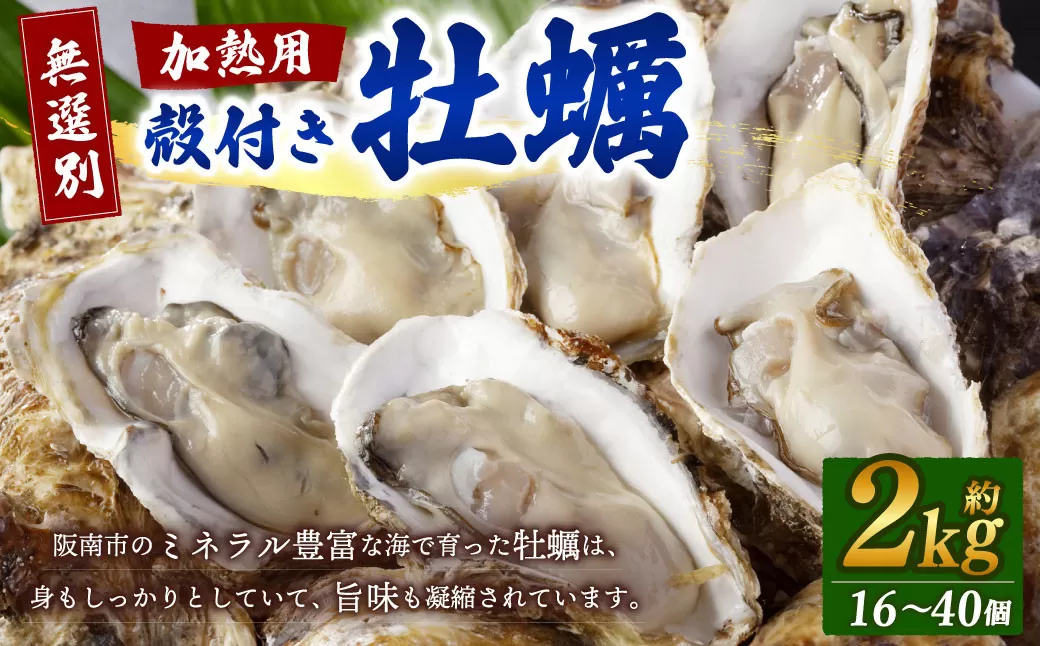 【無選別】加熱用 殻付き牡蠣 約2kg（16～40個）【2026年1月下旬-2026年3月下旬発送】｜ 牡蠣 かき カキ 生ガキ 生牡蠣 加熱用 調理用