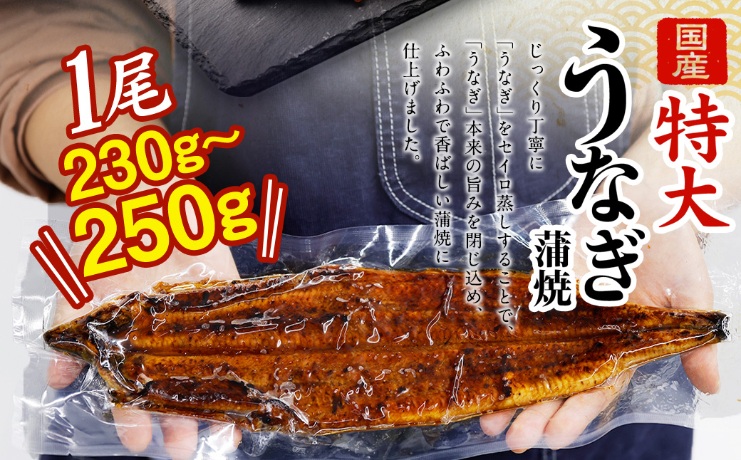 ツヨツヨ様専用 国産うなぎ蒲焼×7尾 白焼×1尾 計8尾