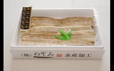 のぞみ 白焼 はも 500g 【2026年5月上旬から12月上旬発送予定】