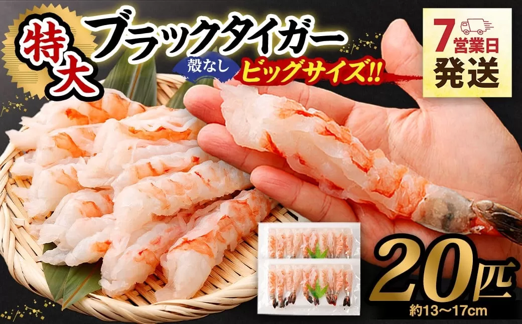 特大 ブラックタイガー 殻なし ビッグサイズ （20匹） 【入金確認後7営業日以内に発送】 剥き海老 剥きえび むき海老 むきえび むきエビ むき身 海鮮 海産物 魚介類 甲殻類 海の幸 大阪府 阪南市