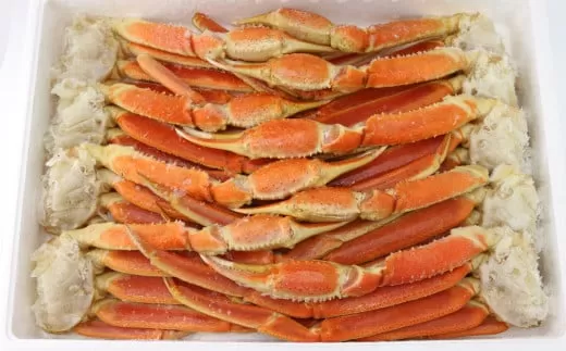 ボイル ずわい蟹 4L サイズ 3kg （7 〜 9肩） 【11】 かに カニ ずわい蟹 足 脚 ボイル しゃぶしゃぶ 鍋 海鮮 BBQ バーベキュー 冷凍