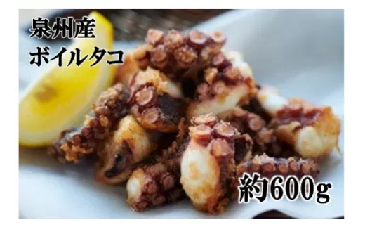 大阪産 泉タコ （ボイルたこ） 600g （1杯～3杯）×1袋 【2024年7月上旬より順次発送】 魚介類 海鮮 タコ ゆで 冷凍