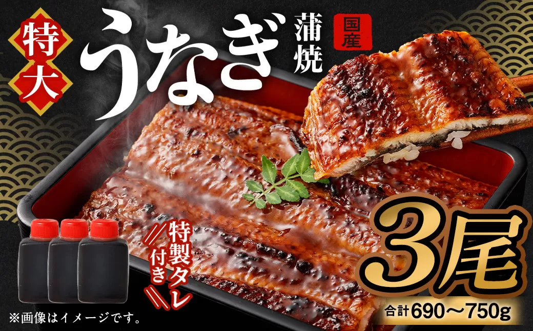 【2025年7月12日-15日発送予定】土用の丑「国産うなぎ蒲焼」  3尾 (690 ~ 750g) と 特製タレ 3個 セット ｜  鰻 かば焼き 蒲焼き せいろ蒸し セイロ蒸し タレ付 大阪府 阪南市