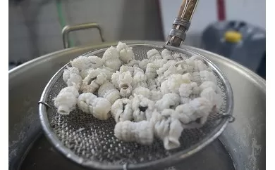 のぞみ 湯引 はも 350g 【2026年5月上旬から12月上旬発送予定】