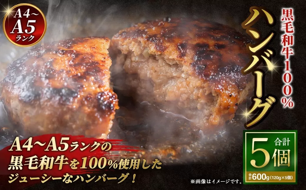 【12月下旬以降順次発送】【A4〜A5ランクの黒毛和牛100%】 ハンバーグ 120g×5個 （計600g） ／ 黒毛和牛 黒毛和種 和牛 国産牛 牛肉 お肉 肉 大阪府 阪南市 冷凍