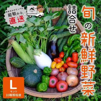 【大阪能勢産】 《農家直送》 べじたぶるぱーくの旬の新鮮野菜詰合せ Lセット (10種類)