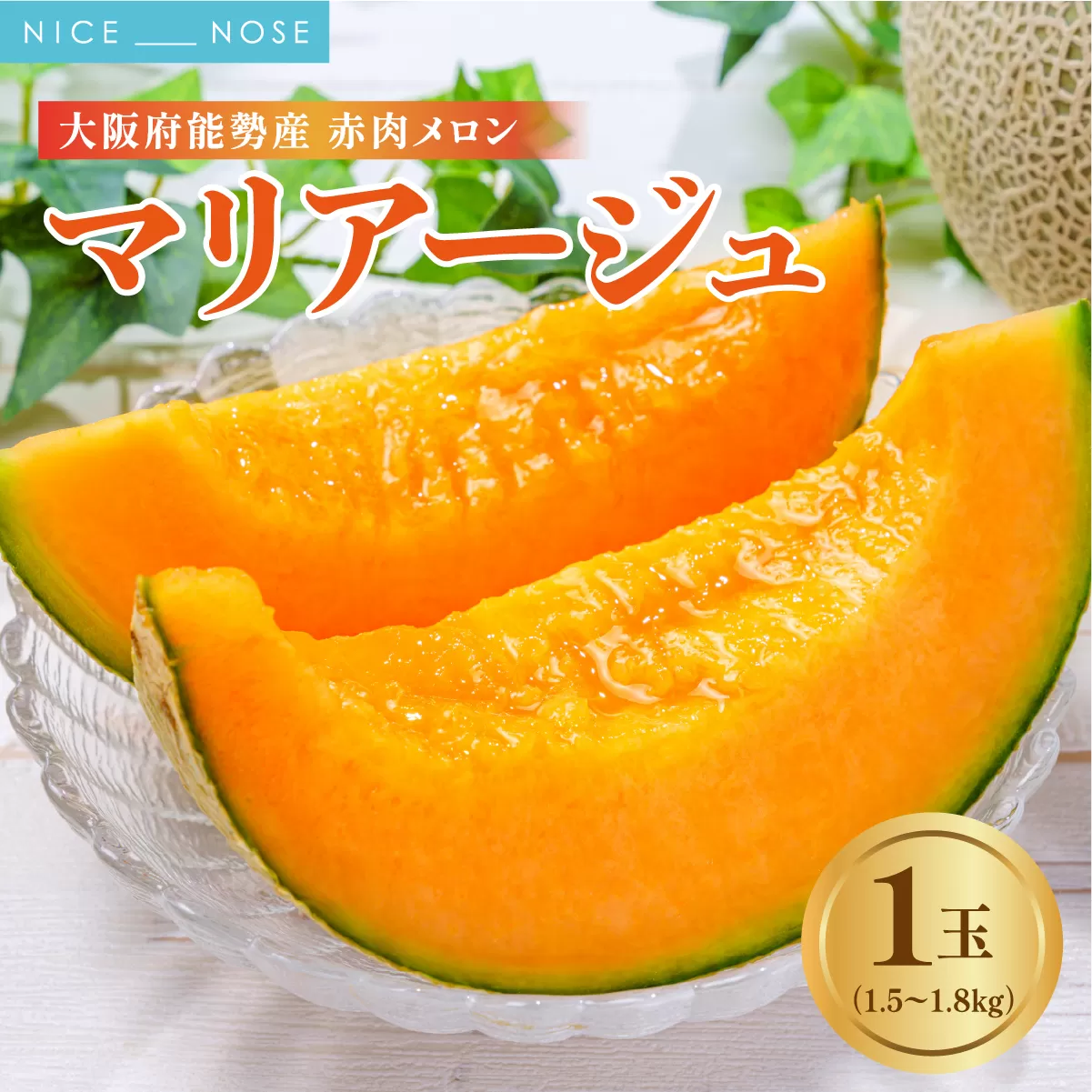 《令和8年8月上旬発送予定》 大阪府能勢町産 赤肉メロン 『マリアージュ』 1玉 (1.5kg-1.8kg) | 西河農園 | 国産 フルーツ 果物 デザート 甘い | 8月発送 夏季限定 |  ギフト 贈り物 |  大阪府 能勢町 送料無料