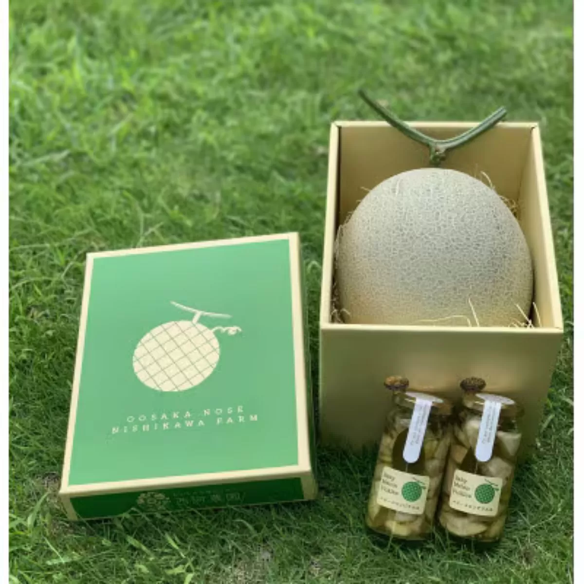 《令和8年8月初旬発送予定》 大阪府能勢町産 青肉メロン 『アールスメロン』1玉 (約1.5kg) × メロンピクルス 2本 (150g×2) セット　【1521230】