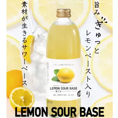 《あなただけのオリジナルサワーを》 にごり皮ごとレモンサワーベース 500ml × 12本