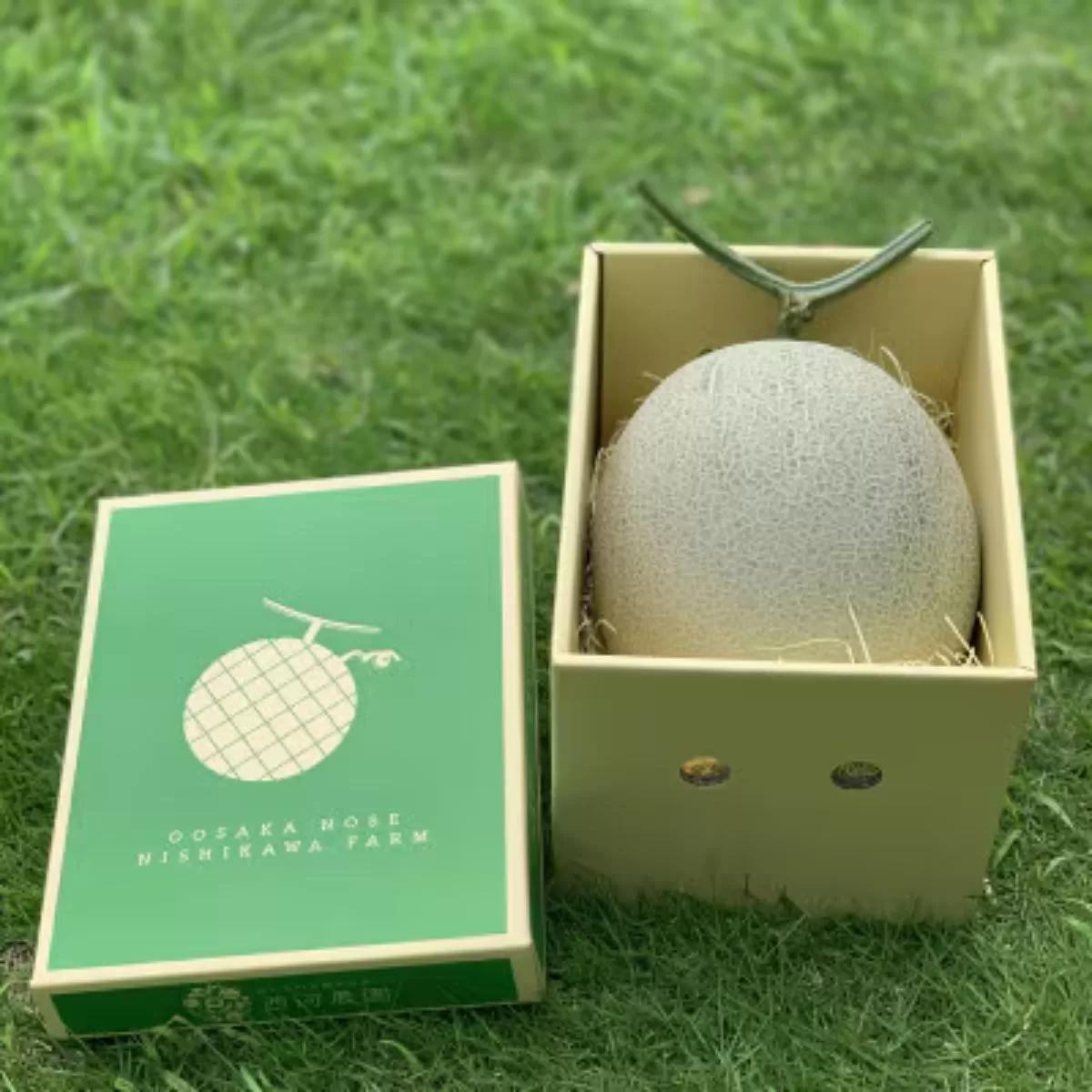 《令和8年8月上旬発送予定》 大阪府能勢町産 赤肉メロン 『マリアージュ』 1玉 (1.5kg-1.8kg)【1344141】