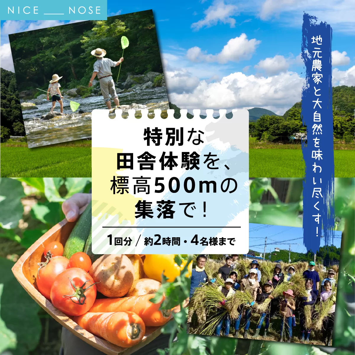 特別な田舎体験を、標高500mの集落で！(1回分/約2時間/4名様まで) | 天王恵み会 |  農業体験 田舎体験 体験 チケット 自然体験 旅行 特別な時間 ハイキング 川遊び ホタル観賞 標高500m 日帰り アクティビティ アウトドア |  大阪府 能勢町 送料無料