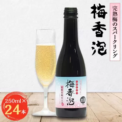 《完熟梅のスパークリング》 梅香泡 (うめかほう) 24本入