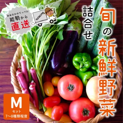 【大阪能勢産】 《農家直送》 べじたぶるぱーくの旬の新鮮野菜詰合せ Mセット (7〜8種類)