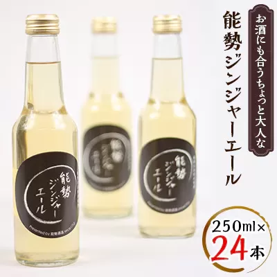 《お酒にも合うちょっと大人な》 能勢ジンジャーエール 250ml × 24本