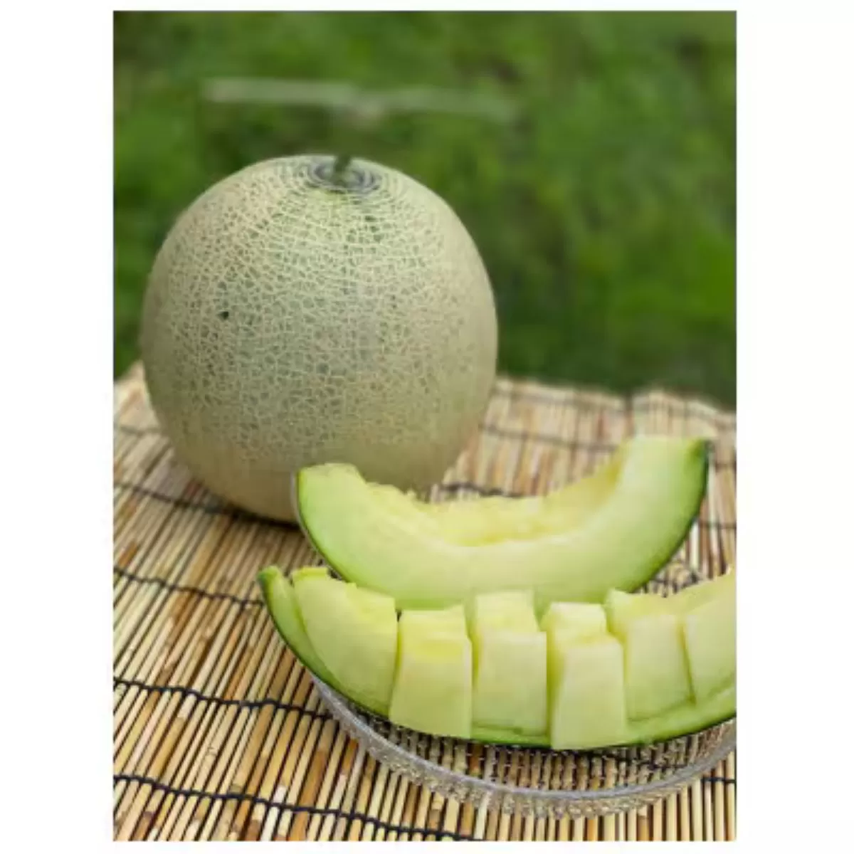 《令和8年8月初旬発送予定》 大阪府能勢町産 青肉メロン 『アールスメロン』 1玉 (1.5kg-1.8kg)【1521213】