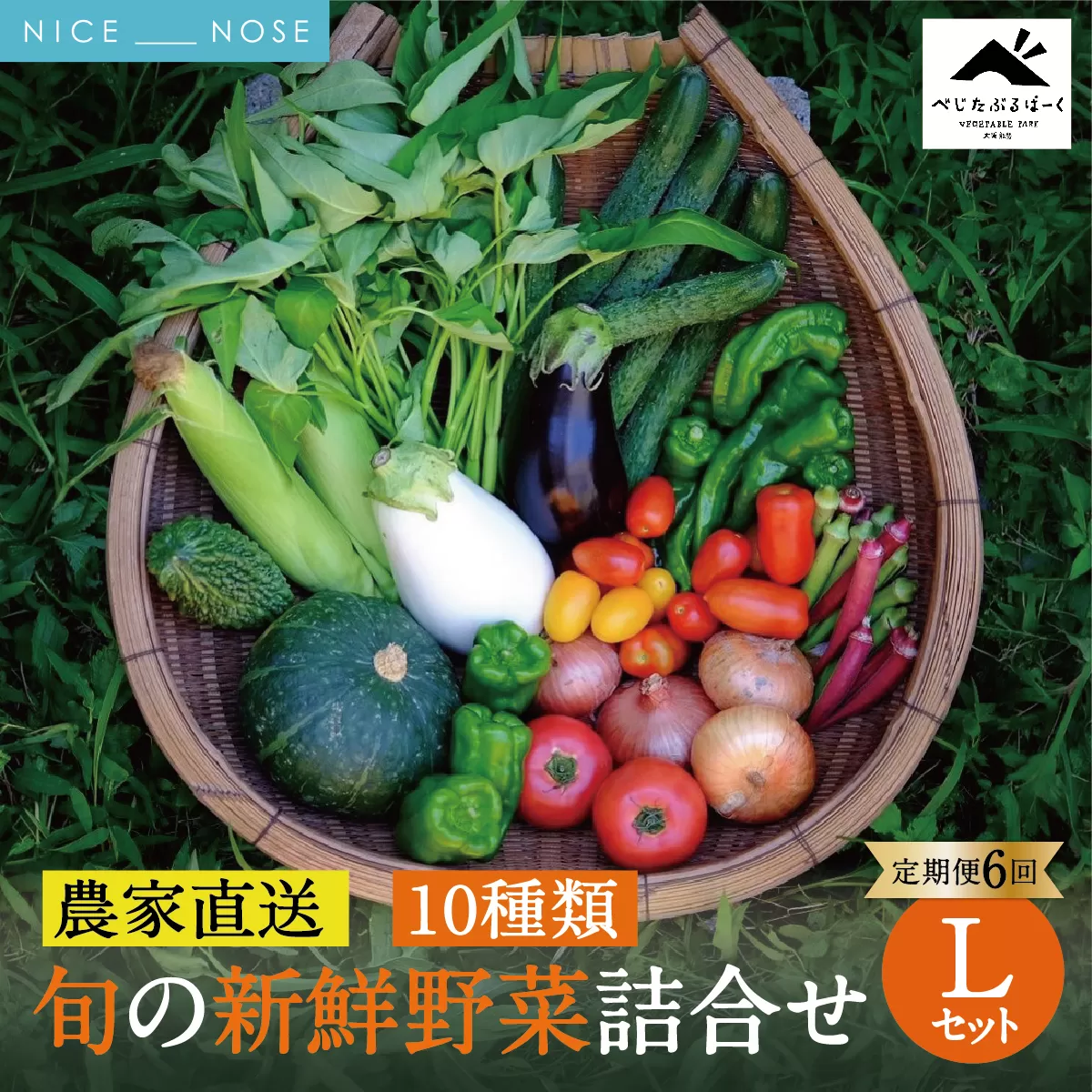 [定期便 6回] 【大阪能勢産】 《農家直送》 べじたぶるぱーくの旬の新鮮野菜詰合せ Lセット (10種類) | 6回(隔月) 定期便 6ヶ月 定期 野菜詰め合わせ 野菜 農薬 化学肥料不使用 新鮮 産地直送 季節 旬 | 大阪府 能勢町 送料無料