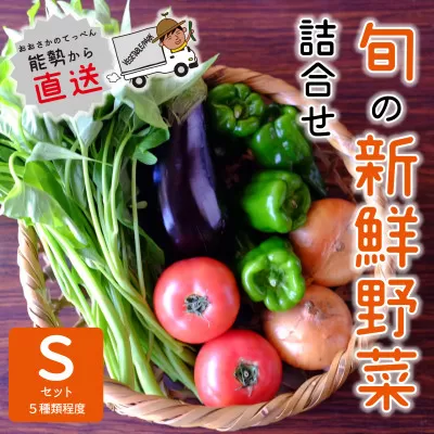 【大阪能勢産】 《農家直送》 べじたぶるぱーくの旬の新鮮野菜詰合せ Sセット (5種類)