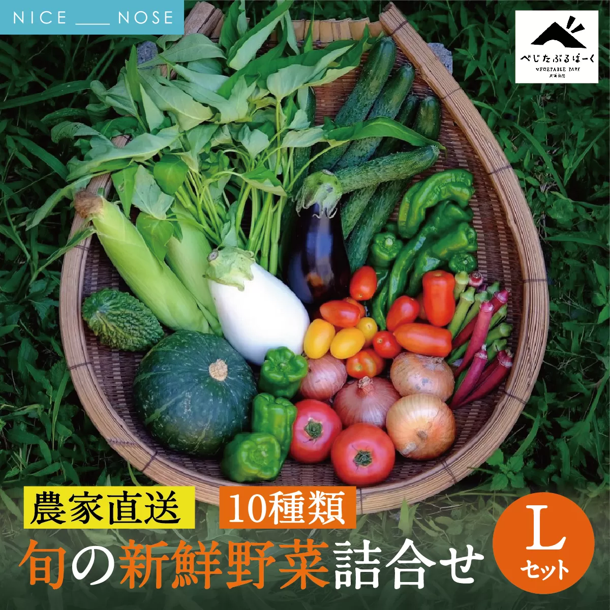 【大阪能勢産】 《農家直送》 べじたぶるぱーくの旬の新鮮野菜詰合せ Lセット (10種類) | べじたぶるぱーく野菜詰め合わせ 野菜 農薬・化学肥料不使用 新鮮 産地直送 季節 旬 | 大阪府 能勢町 送料無料
