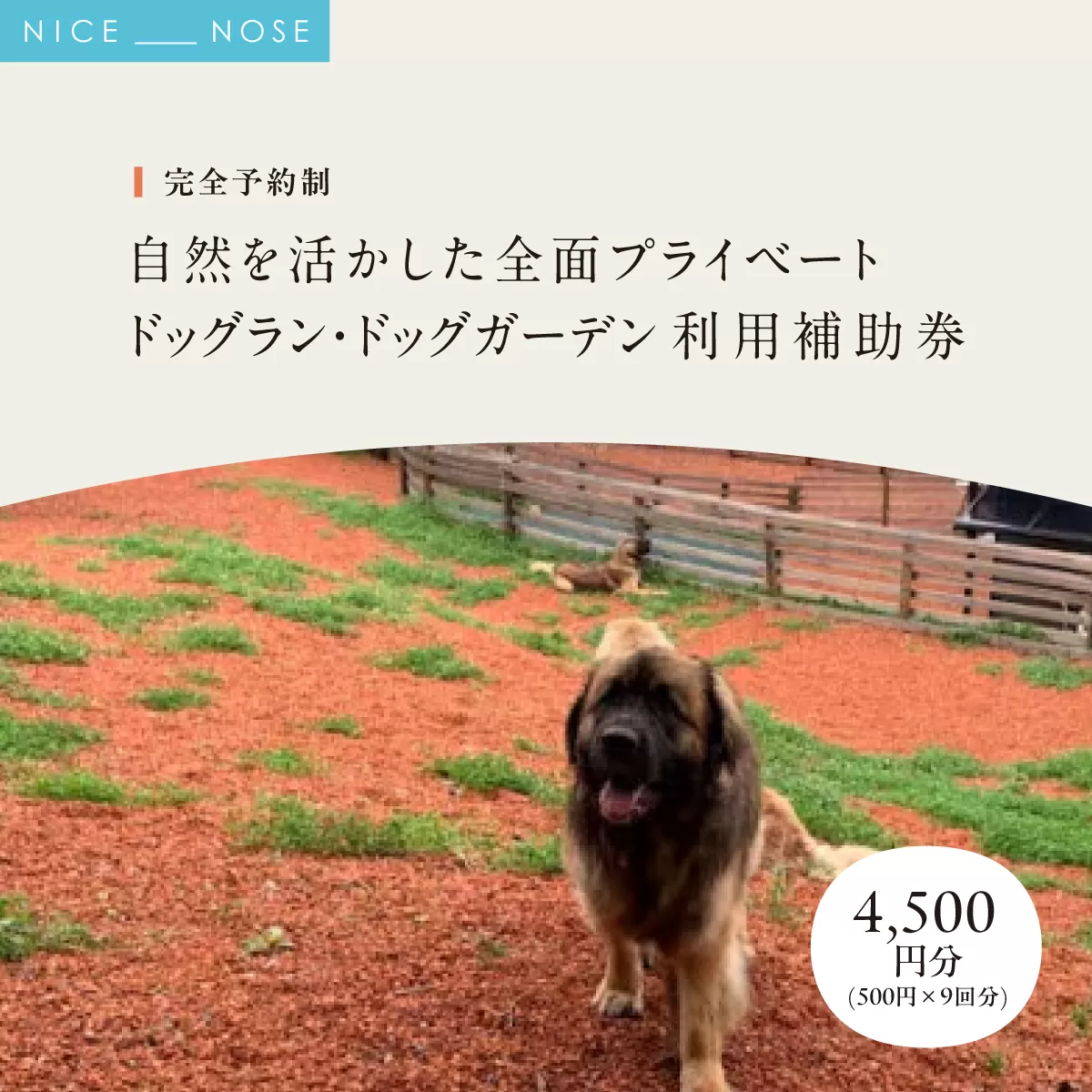 【完全予約制】自然を活かした全面プライベートドッグラン・ドッグガーデン 利用補助券 4,500円分 (500円 × 9回分) | Bless Dog Oasis | ドッグラン ドッグガーデン わんちゃん 犬 ペット チケット 券 貸切 プライベート 広い 体験 レジャー 自然 運動 アウトドア | 大阪府 能勢町 送料無料