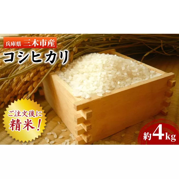 三木市産コシヒカリ「精米」　4.5kg程度