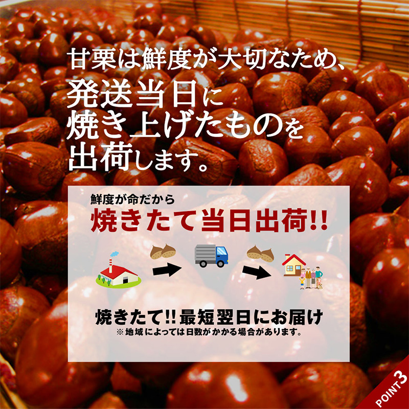 天津甘栗 1.8kg|兵庫県庁|兵庫県|返礼品をさがす|まいふる 天津甘栗 1.8kg|兵庫県庁|兵庫県|返礼品をさがす|まいふる