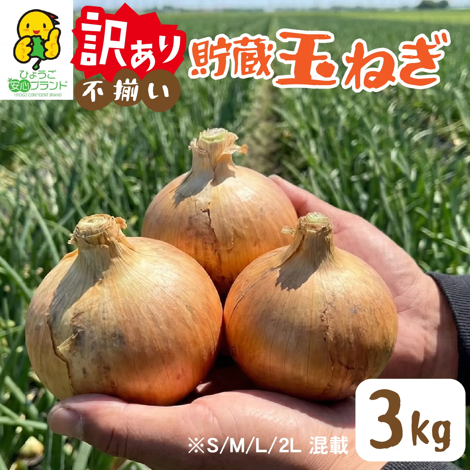 [先行予約] 淡路島 貯蔵玉ねぎ 3kg 訳あり サイズ不揃い 簡易箱でお届け/ 不揃い サイズ 混合 ミックス S M L 2L 玉ねぎ タマネギ オニオン スライス サラダ ハンバーグ 肉じゃが 焼肉 常備菜 BBQ スープ 味噌汁 産地直送 兵庫県 淡路市