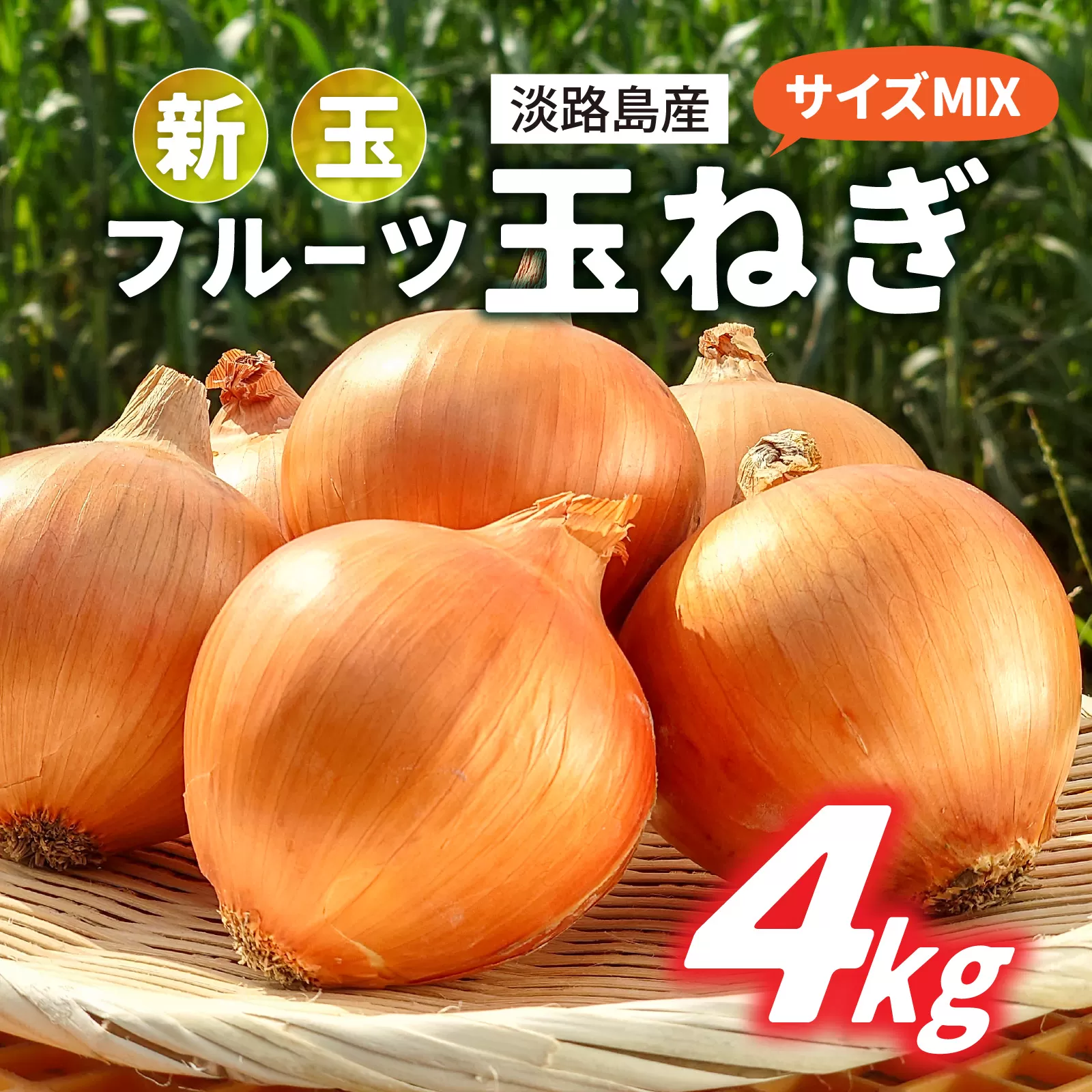 【 6月11日まで「新玉ねぎ」を受付 】フルーツ玉ねぎ4kg【サイズ色々】