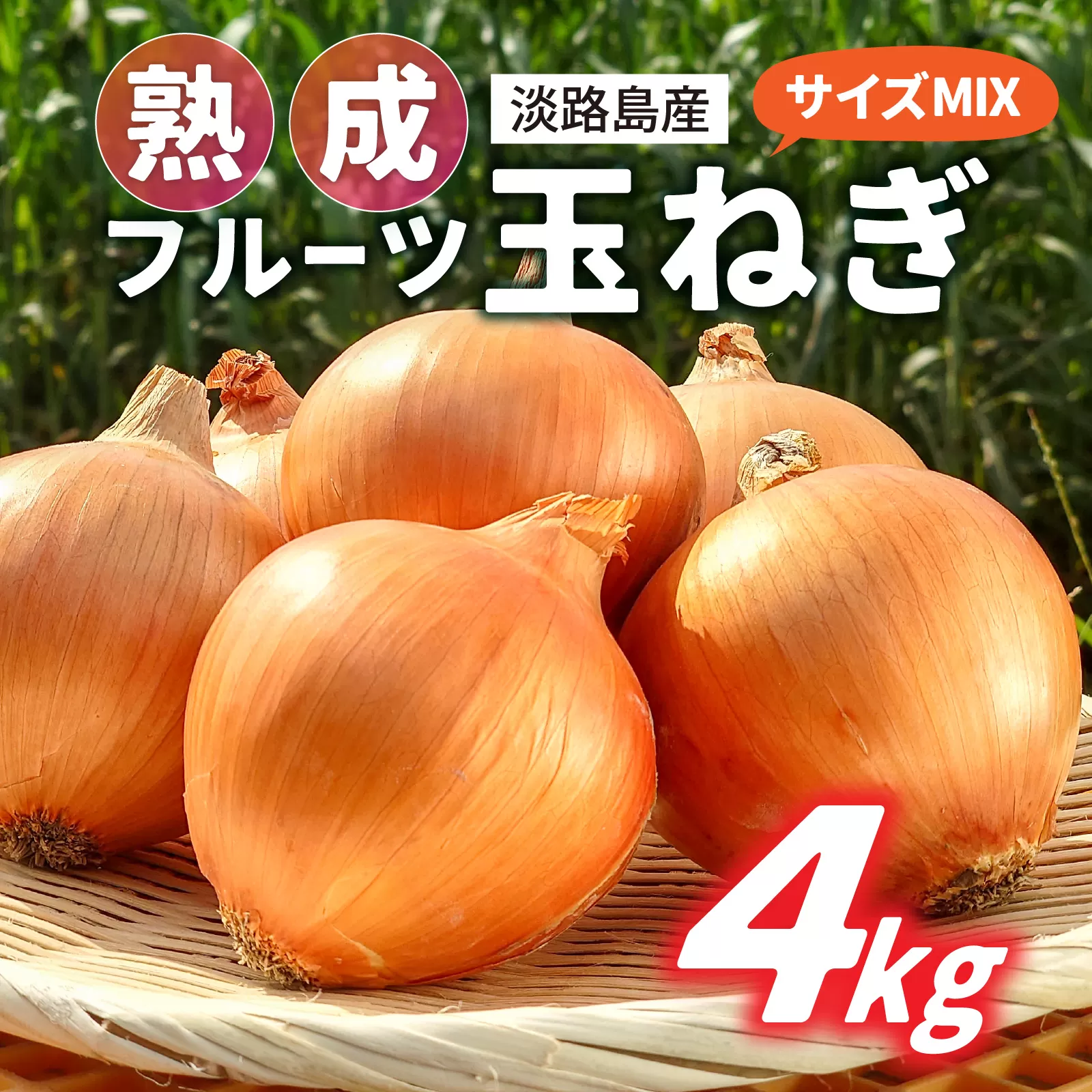 熟成フルーツ玉ねぎ4kg【サイズ色々】