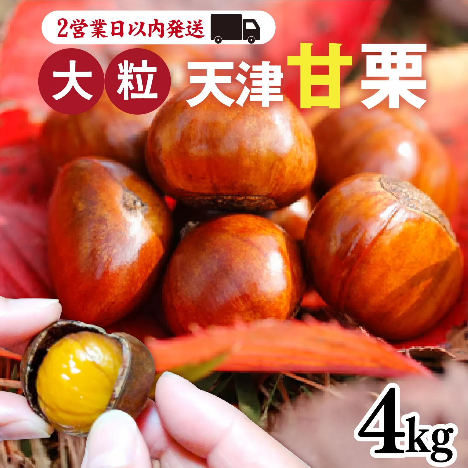 天津甘栗 4kg / 焼きたて 栗 くり マロン 秋 おやつ 栗爪 殻付き お菓子 おつまみ 人気 高リピート 小分け 栗ご飯 栗きんとん 甘露煮 こだわり 手軽 おためし お試し