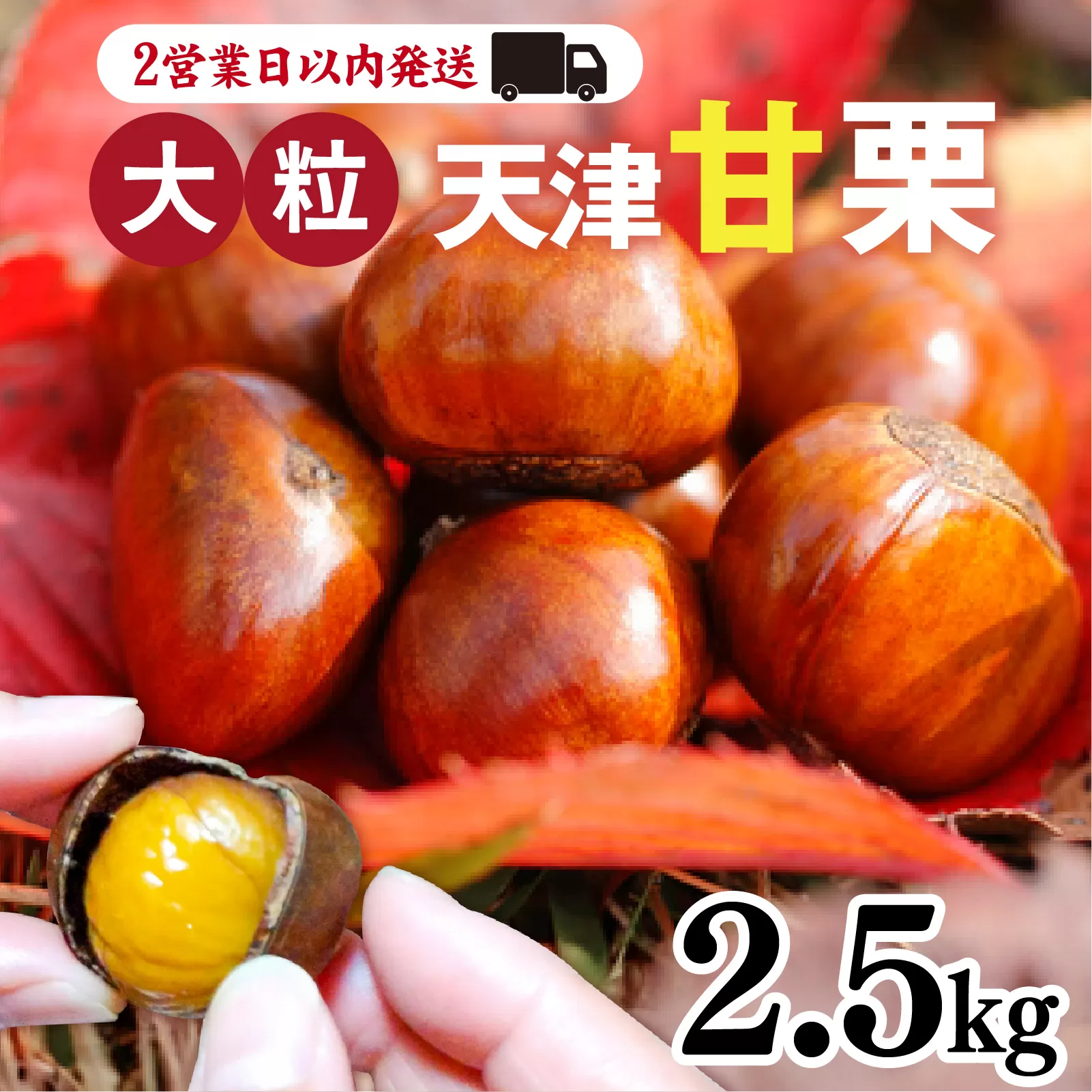 天津甘栗 2.5kg ／ 焼きたて 栗 くり マロン 秋 おやつ 栗爪 殻付き お菓子 おつまみ 人気 高リピート 小分け 栗ご飯 栗きんとん 甘露煮 こだわり 手軽 おためし お試し