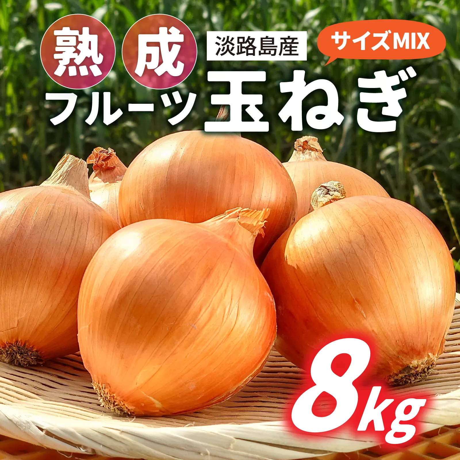 熟成フルーツ玉ねぎ8kg【サイズ色々】