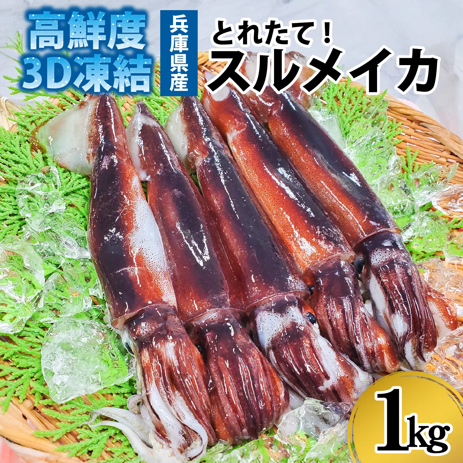 兵庫県産 とれたて スルメイカ 冷凍 約1kg 5杯前後