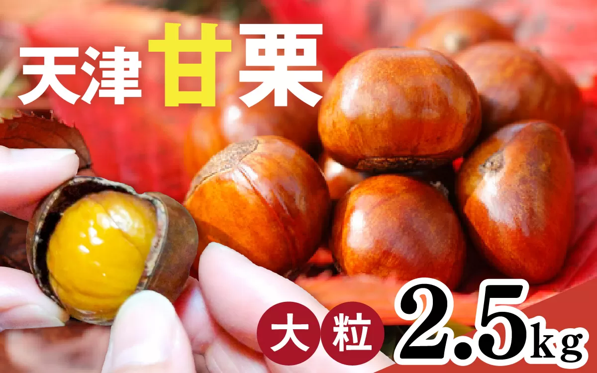 【先行予約】 天津甘栗 2.5kg 【 2025年10月下旬より順次発送予定 】／ 焼きたて 栗 くり マロン 秋 おやつ 栗爪 殻付き お菓子 おつまみ 人気 高リピート 小分け 栗ご飯 栗きんとん 甘露煮 こだわり 手軽 おためし お試し