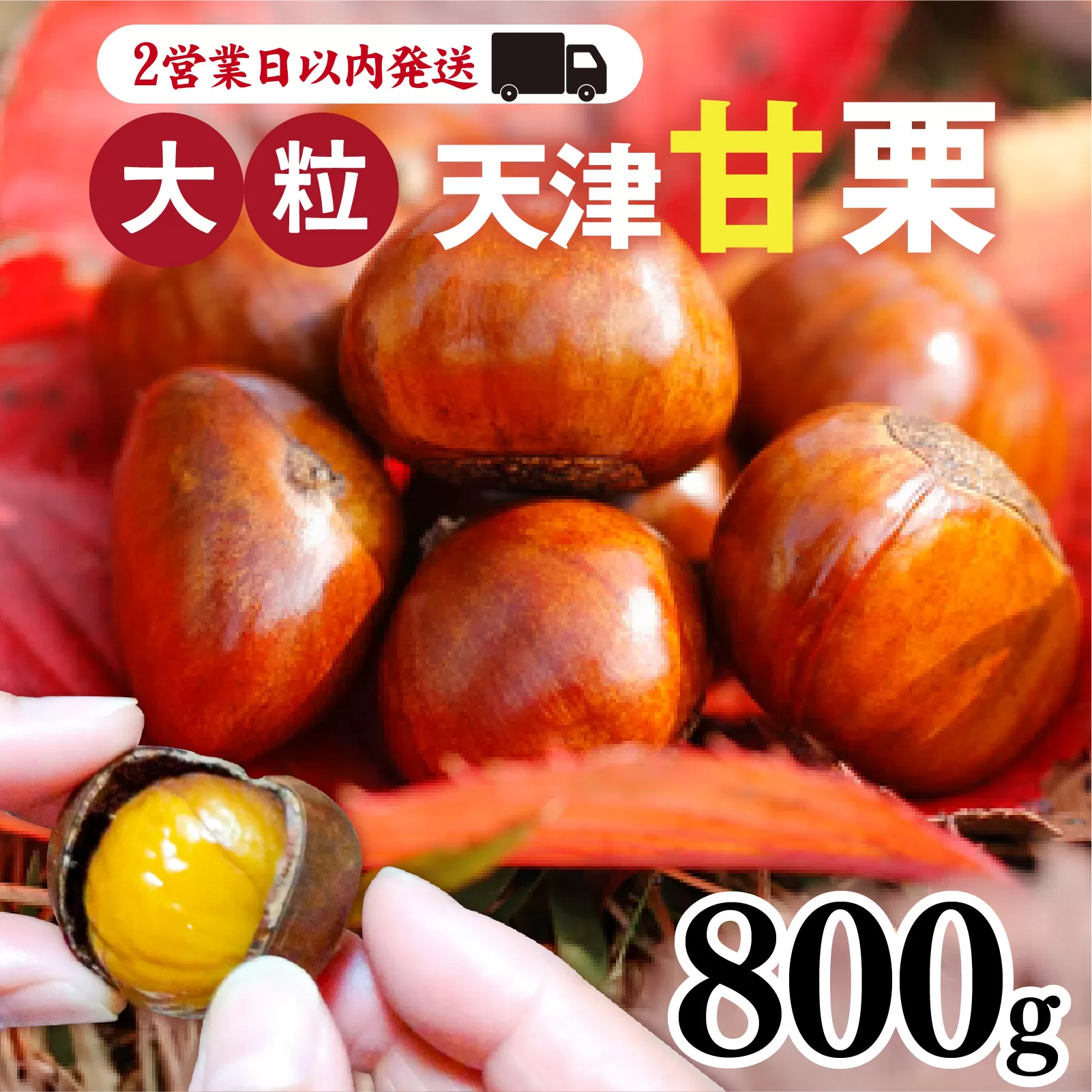 天津甘栗 800g ／ 焼きたて 栗 くり マロン 秋 おやつ 栗爪 殻付き お菓子 おつまみ 人気 高リピート 小分け 栗ご飯 栗きんとん 甘露煮 こだわり 手軽 おためし お試し