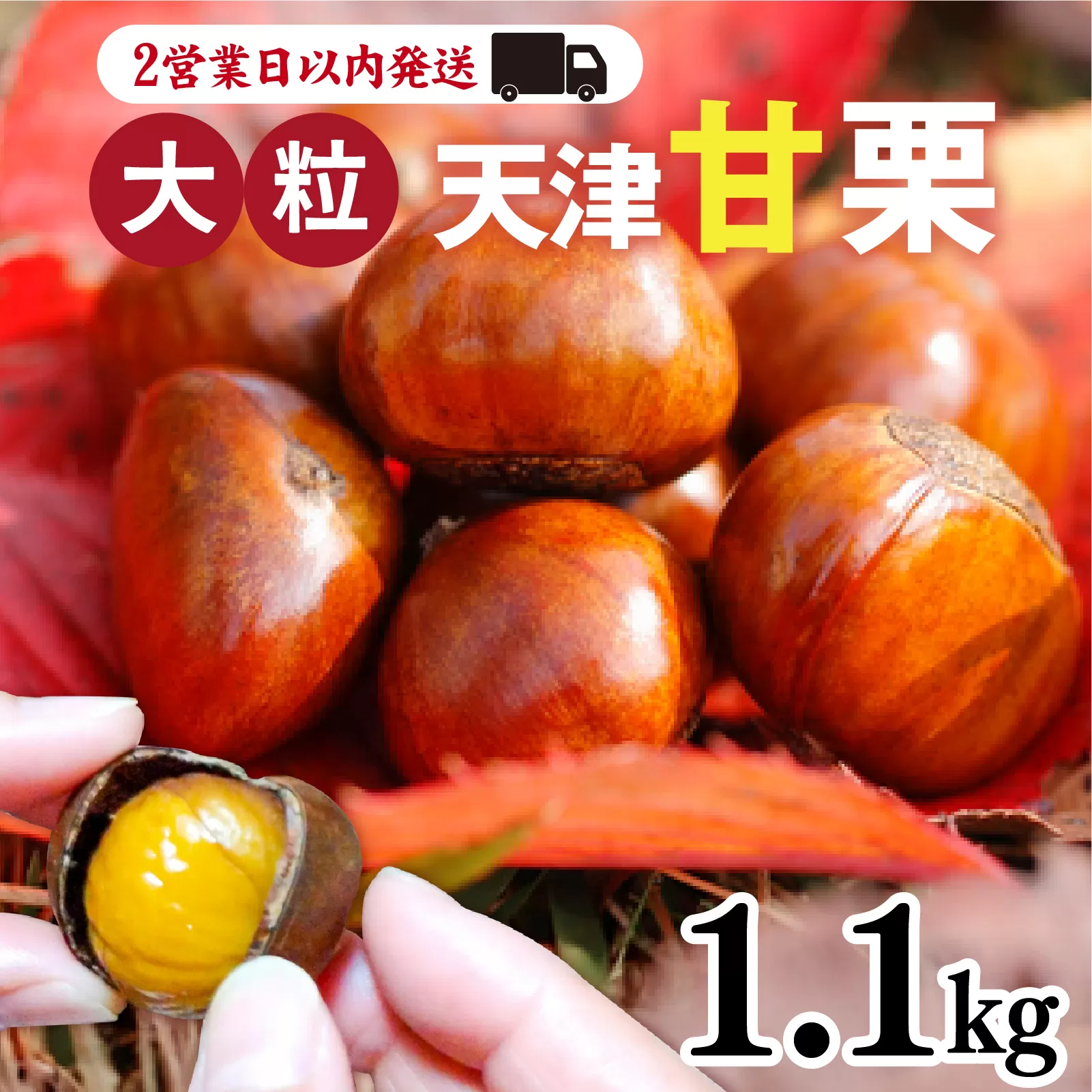 天津甘栗 1.1kg ／ 焼きたて 栗 くり マロン 秋 おやつ 栗爪 殻付き お菓子 おつまみ 人気 高リピート 小分け 栗ご飯 栗きんとん 甘露煮 こだわり 手軽 おためし お試し