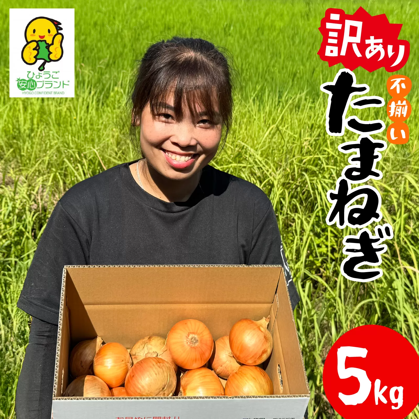 訳あり たまねぎ 5kg 淡路島 フードロス SDGs/ 不揃い サイズ 混合 ミックス S M L 2L 玉ねぎ タマネギ オニオン スライス サラダ ハンバーグ 肉じゃが 焼肉 常備菜 BBQ スープ 味噌汁 産地直送 兵庫県 淡路市