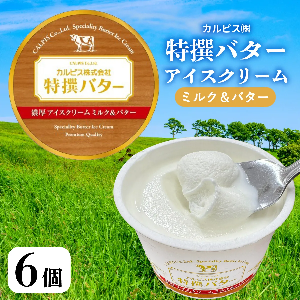カルピス㈱特撰バターアイスクリーム 6個入
