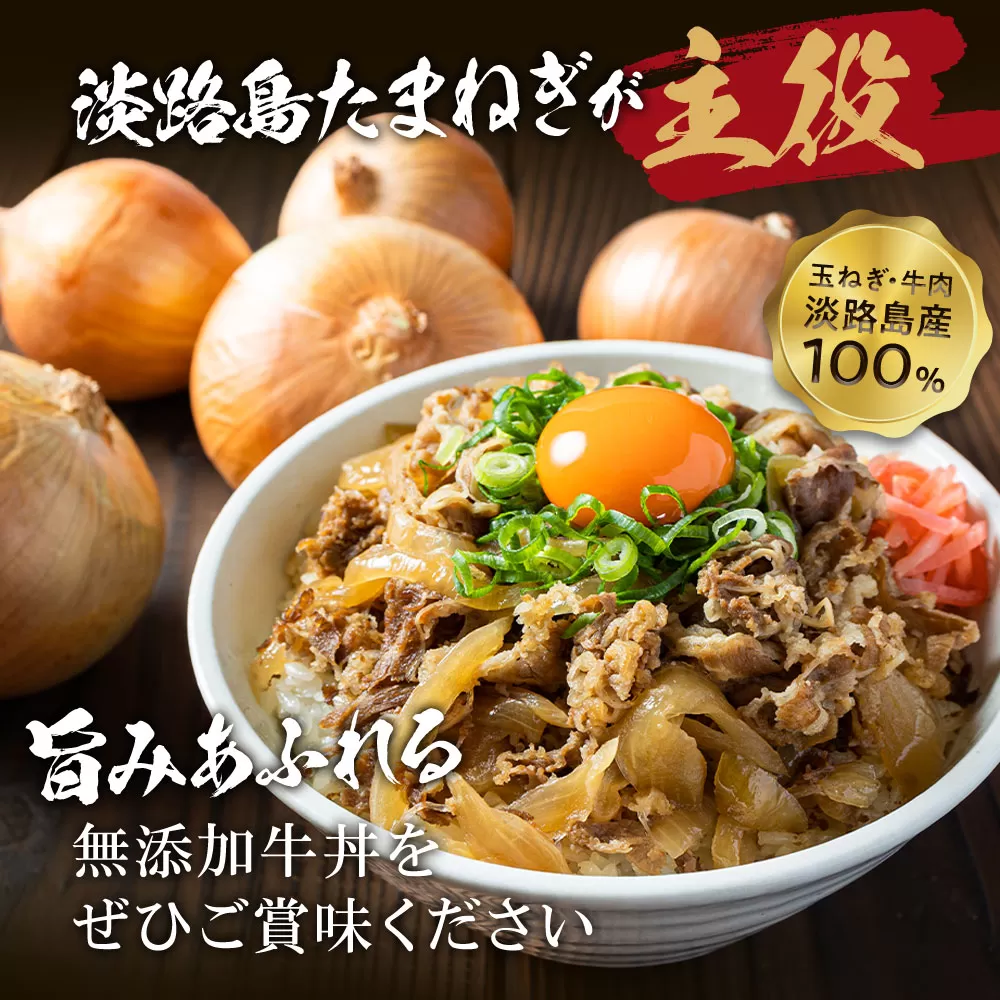 淡路島たまねぎ牛丼6食