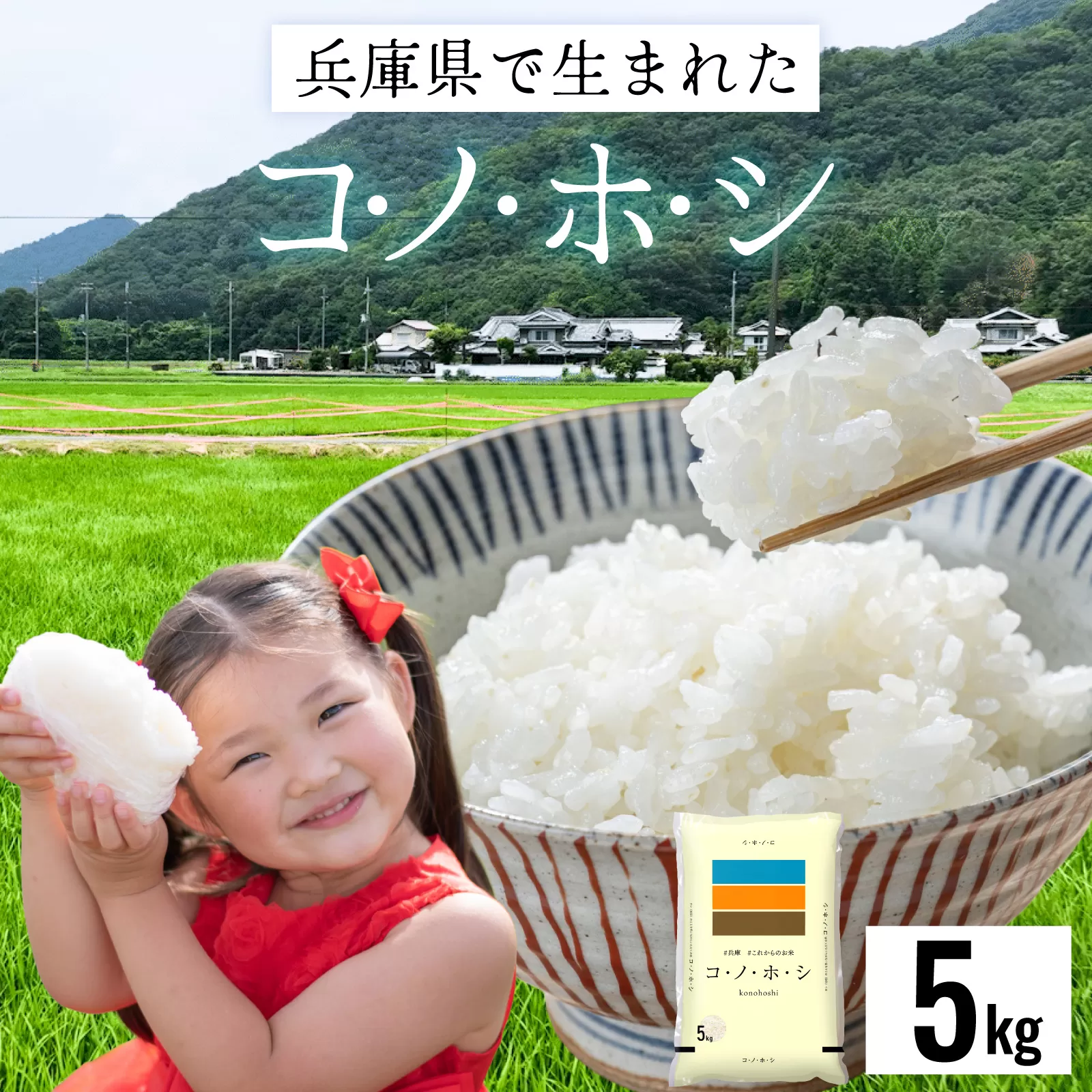 兵庫県産コノホシ (5kg)／兵庫県産 精米 単一原料米 米 コメ 新品種 限定 新しい 兵庫県 オリジナル