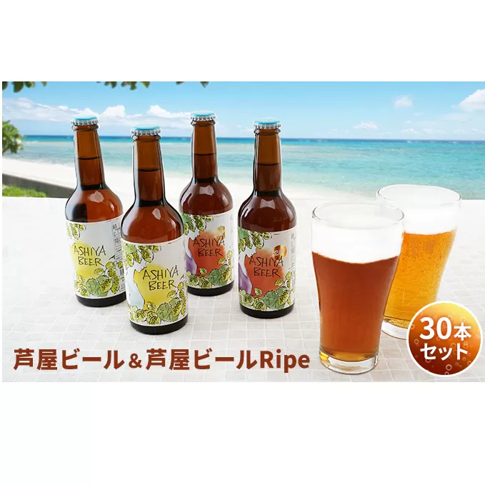 芦屋ビール＆芦屋ビールRipe 30本セット