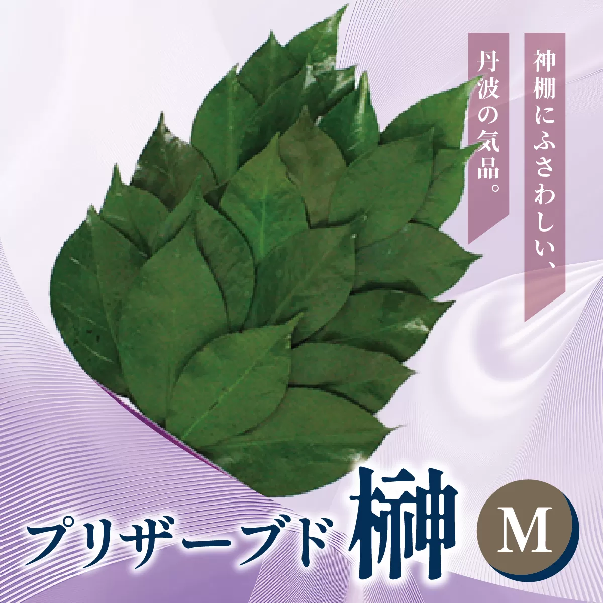 プリザーブド 榊 Mサイズ（1対 2束）【天然 国産 サカキ 神棚 神具 祭壇 玉串 神事 仏壇 仏花 お供え お墓 お盆 お彼岸 新盆 祭 水かえ不要 枯れない プリザーブドフラワー】
