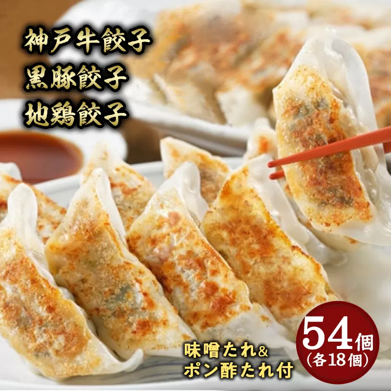 芦屋 伊東屋謹製「神戸牛餃子・黒豚餃子・地鶏餃子」各1折セット (たれ付) [お中元 到着目安7月下旬][ぎょうざ ギョーザ 中華 点心 惣菜 簡単 おうち おかず おつまみ 牛肉 豚肉 鶏肉 もちもち皮 ジューシー 肉汁 冷凍 食べ比べ イトー屋 お取り寄せ ギフト お中元 お歳暮