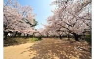 緑化基金