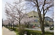 スポーツ振興基金